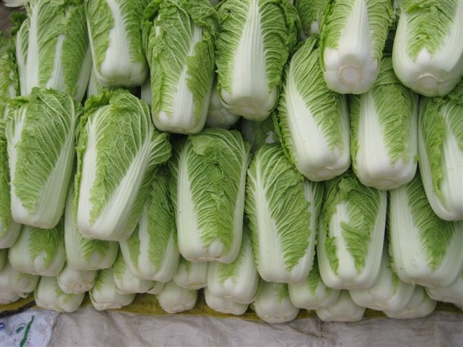 大白菜冷庫(kù)安裝好后儲(chǔ)藏需要做好哪些準(zhǔn)備工作?