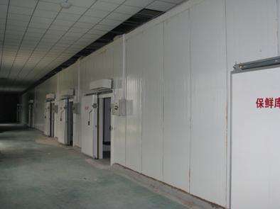 氣調庫相比較保鮮庫而言的話都有哪些特點？