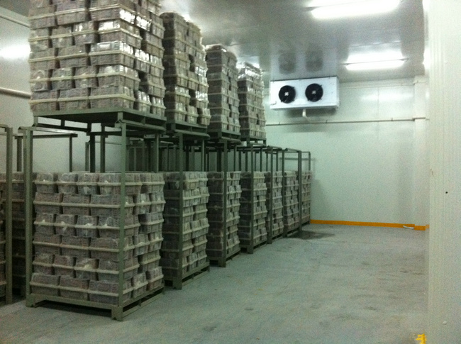 冷庫裝什么燈合適?冷庫燈和普通燈有有什么區別