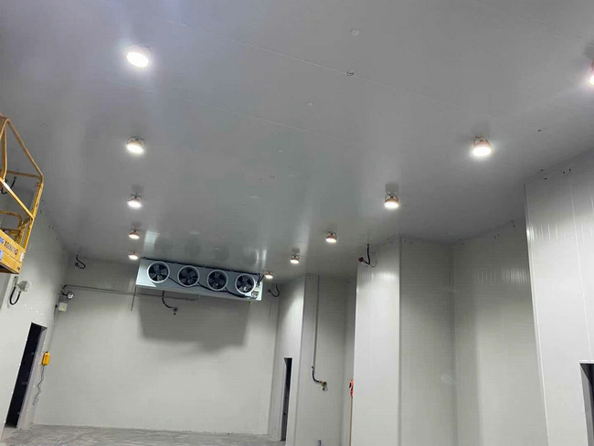 建個(gè)存放10噸貨物的冷庫大概需要多少錢？